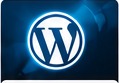 WordPress websites